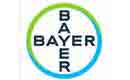 bayer