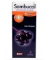 Sambucol Plus Black Elderberry Extract Şurup 120 ml